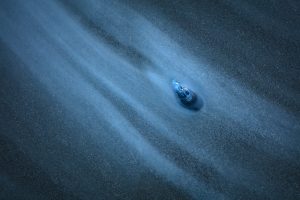Mussel in Blue